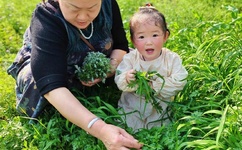 美女模特和男性私密视频泄漏